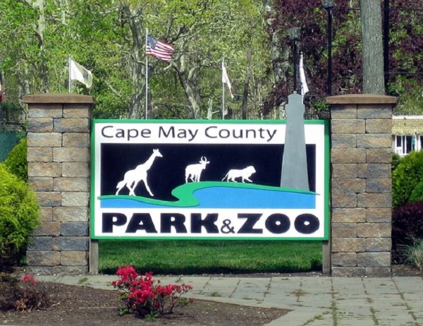 image-of-why-this-zoo-has-bizarre-speed-limit