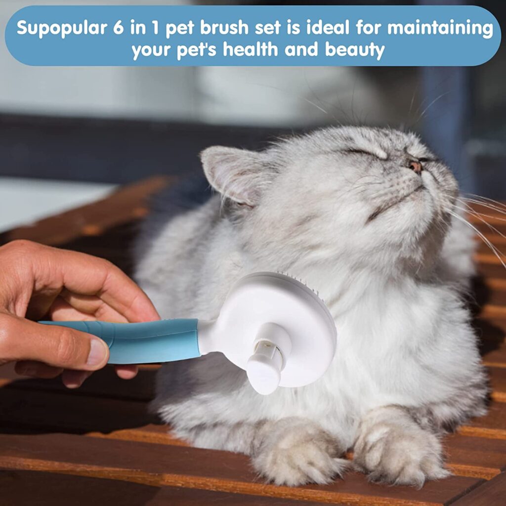 image-of-pet-supplies-self-cleaning-brush