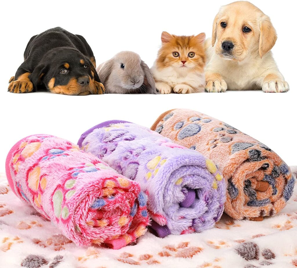 image-of-puppy-blanket